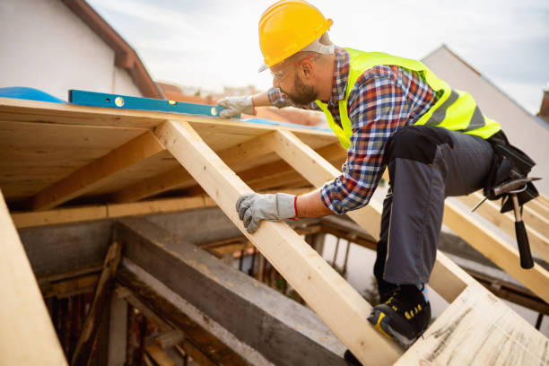 Best Roof Gutter Cleaning  in Sackets Harbor, NY