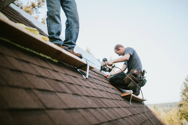 Roof Gutter Cleaning in Sackets Harbor, NY
