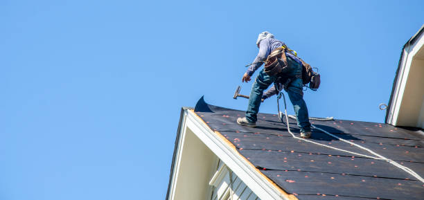 Best Roof Gutter Cleaning  in Sackets Harbor, NY